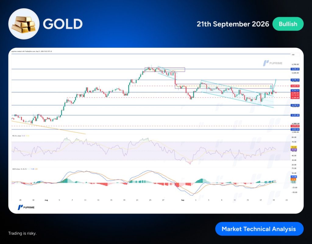 – PU Prime | More Than Trading